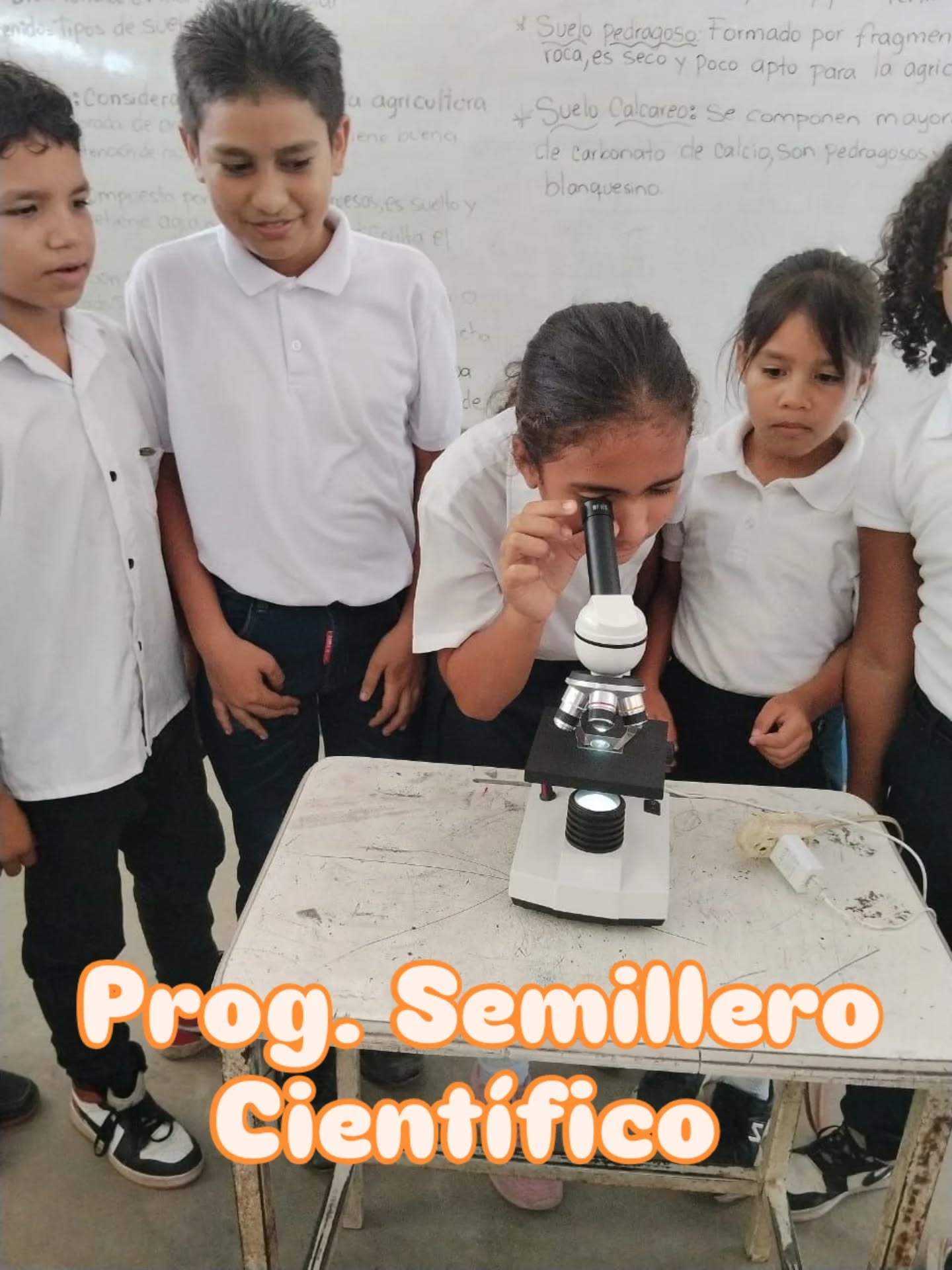Ciencia Divertida impulsa el ingenio tecnológico y biológico en la E.P.P. Tereso Rodríguez